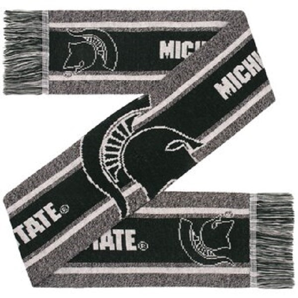 FOCO NCAA Michigan State Spartans Gray Big Logo Scarf Appx.66" Long