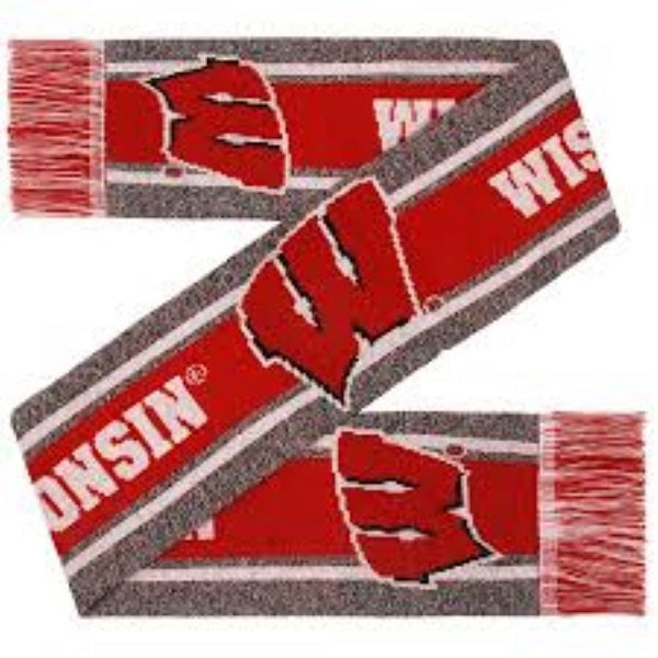 FOCO NCAA Wisconsin Badgers Gray Big Logo Scarf