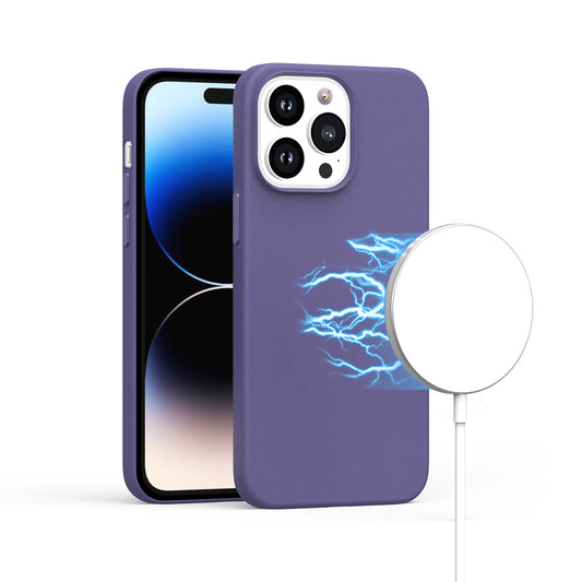 iP11 6.1 MagSafeLeathe Invi Purp
