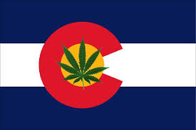 PANEL KIT COLORADO FLAG W/LEAF